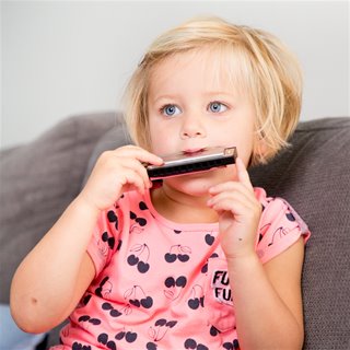 Harmonica - 10 hole